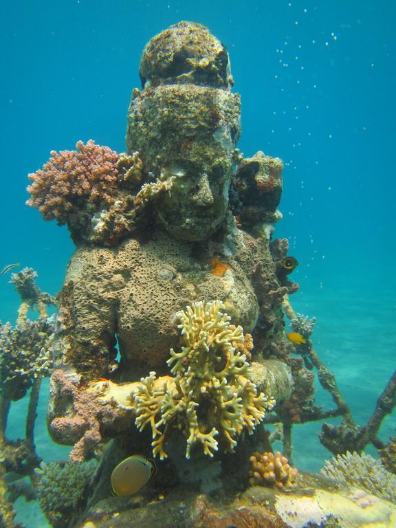 Biorock Homestay & Dive Center Pemuteran מראה חיצוני תמונה