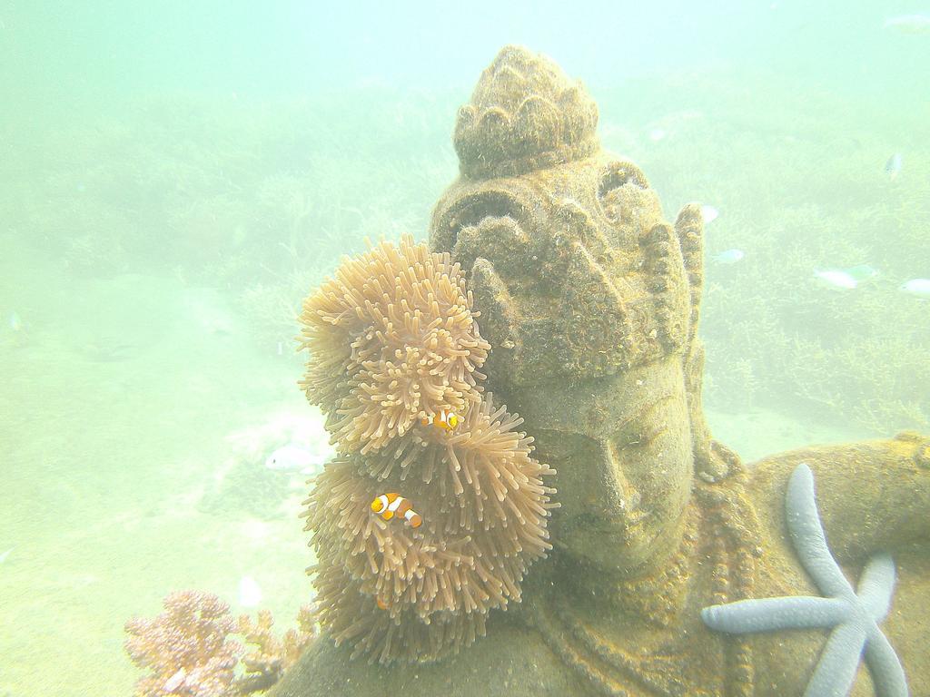 Biorock Homestay & Dive Center Pemuteran מראה חיצוני תמונה