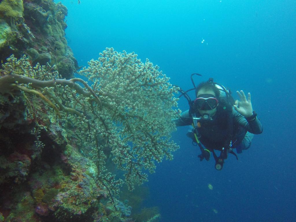 Biorock Homestay & Dive Center Pemuteran מראה חיצוני תמונה