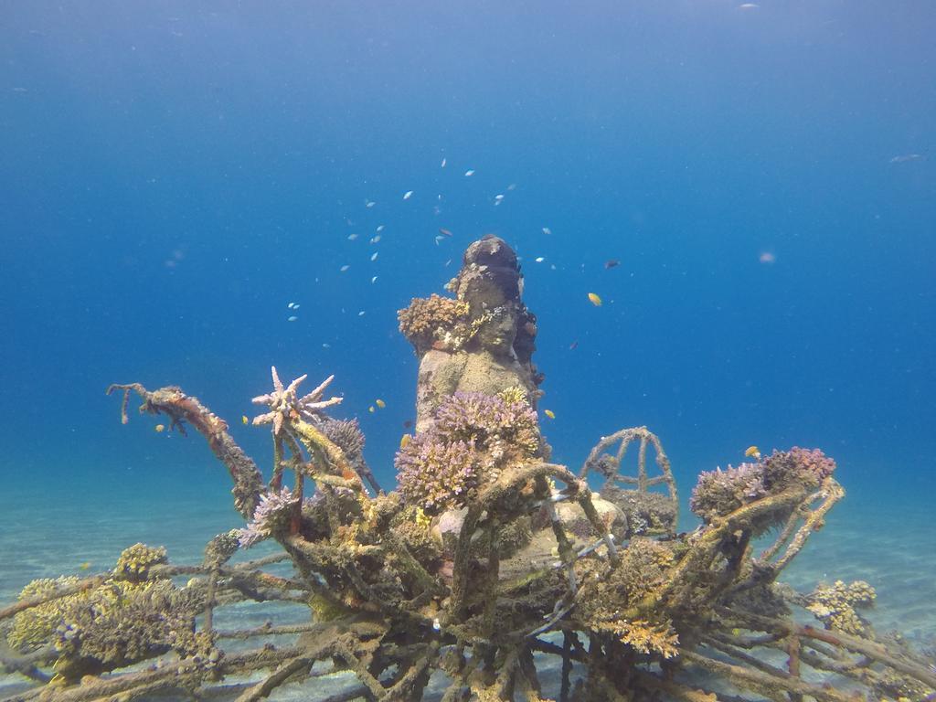 Biorock Homestay & Dive Center Pemuteran מראה חיצוני תמונה