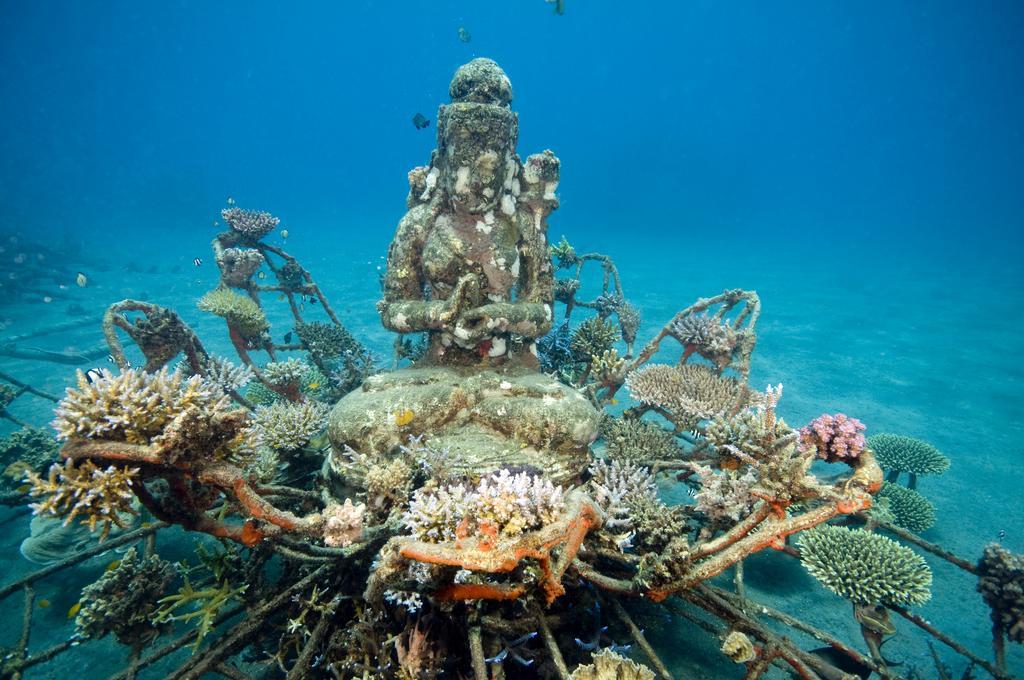 Biorock Homestay & Dive Center Pemuteran מראה חיצוני תמונה