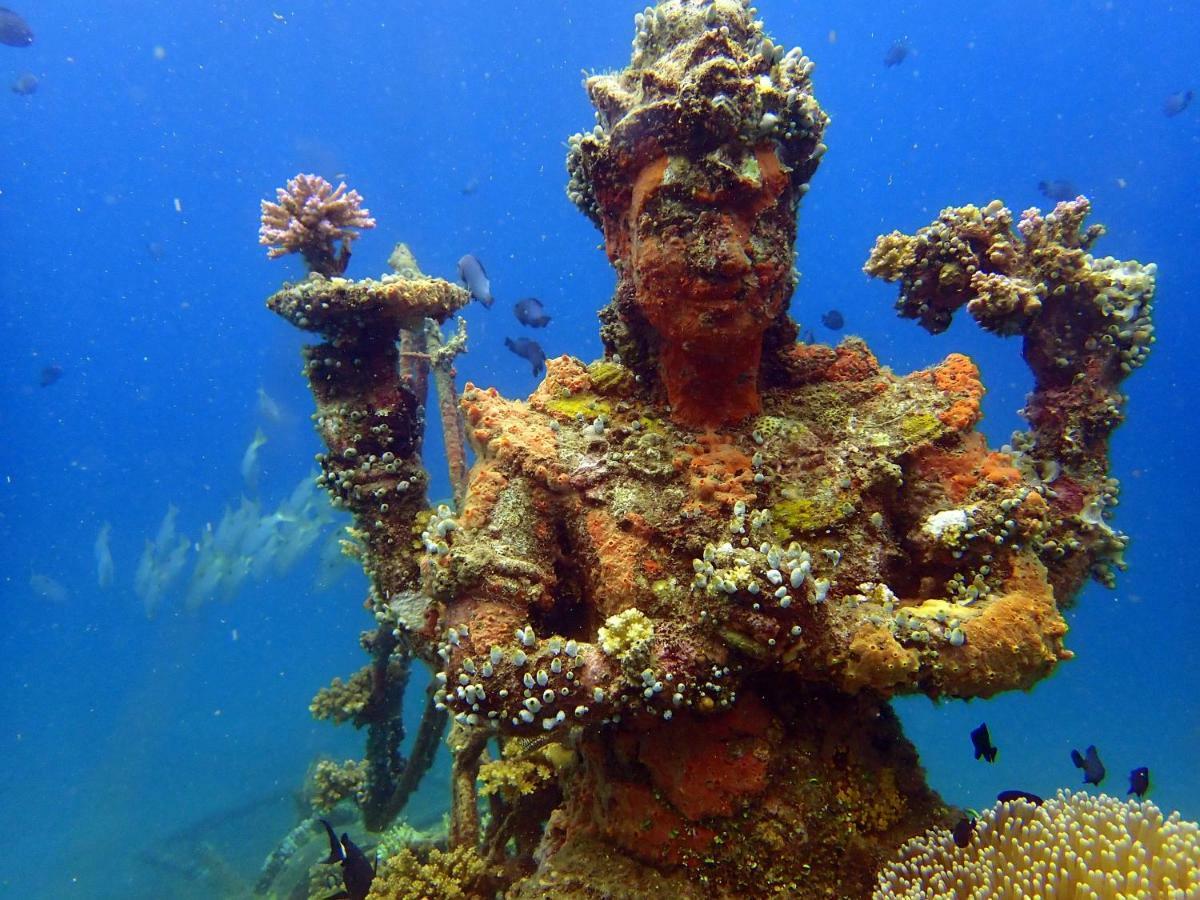 Biorock Homestay & Dive Center Pemuteran מראה חיצוני תמונה